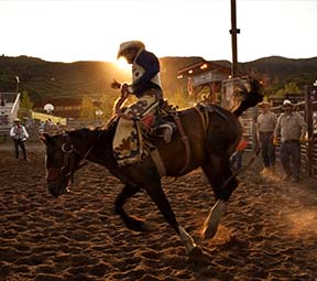 Cowboy riding horse at the Snowmass Rodeo in Snowmass Colorado.