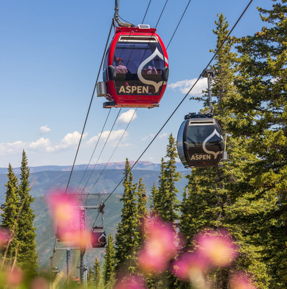 Silver Queen Gondola in summer with wildflowers
