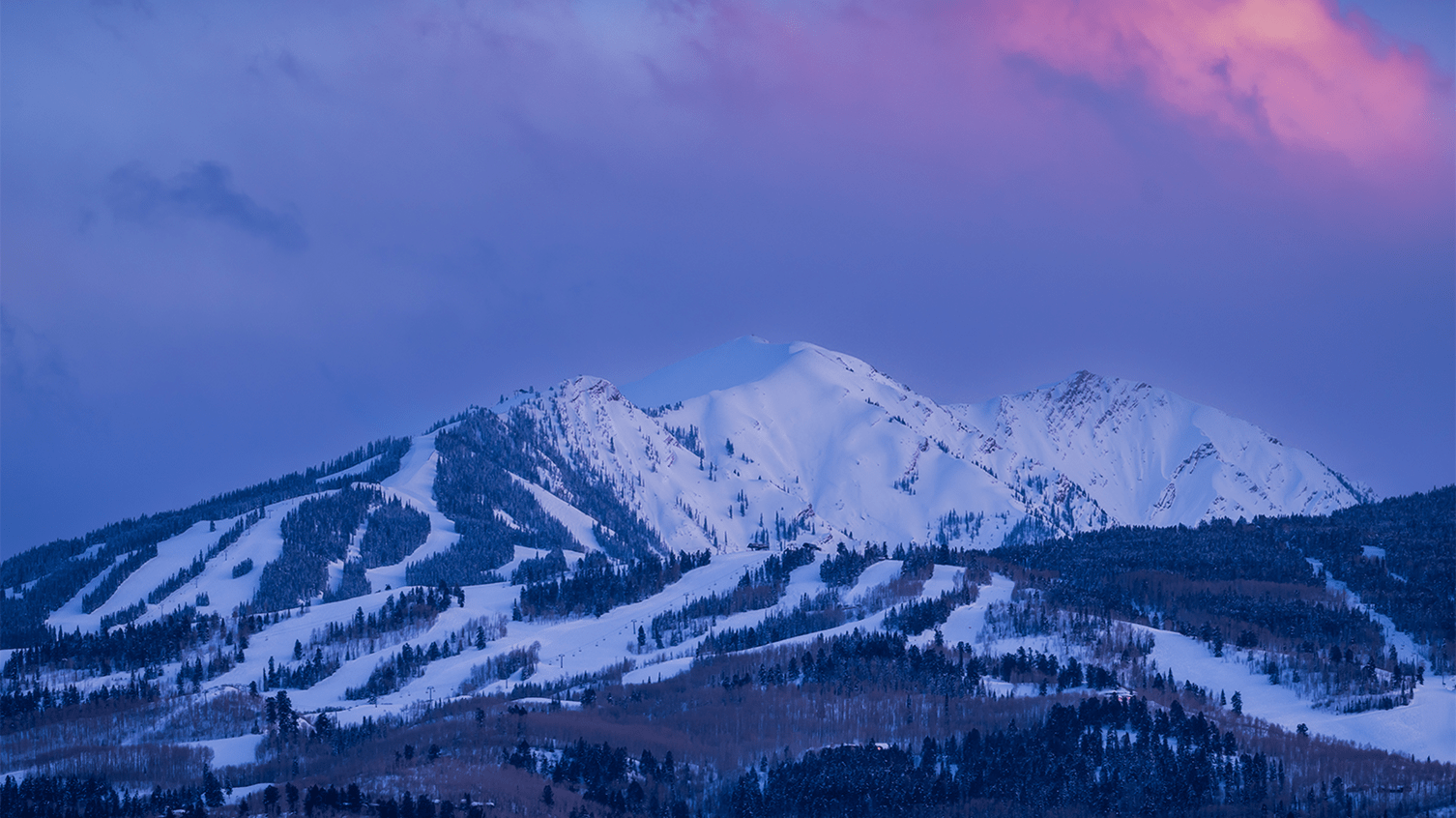 Aspen at Sunset 