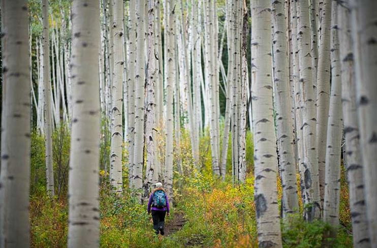 Your First Visit - Snowmass Aspen